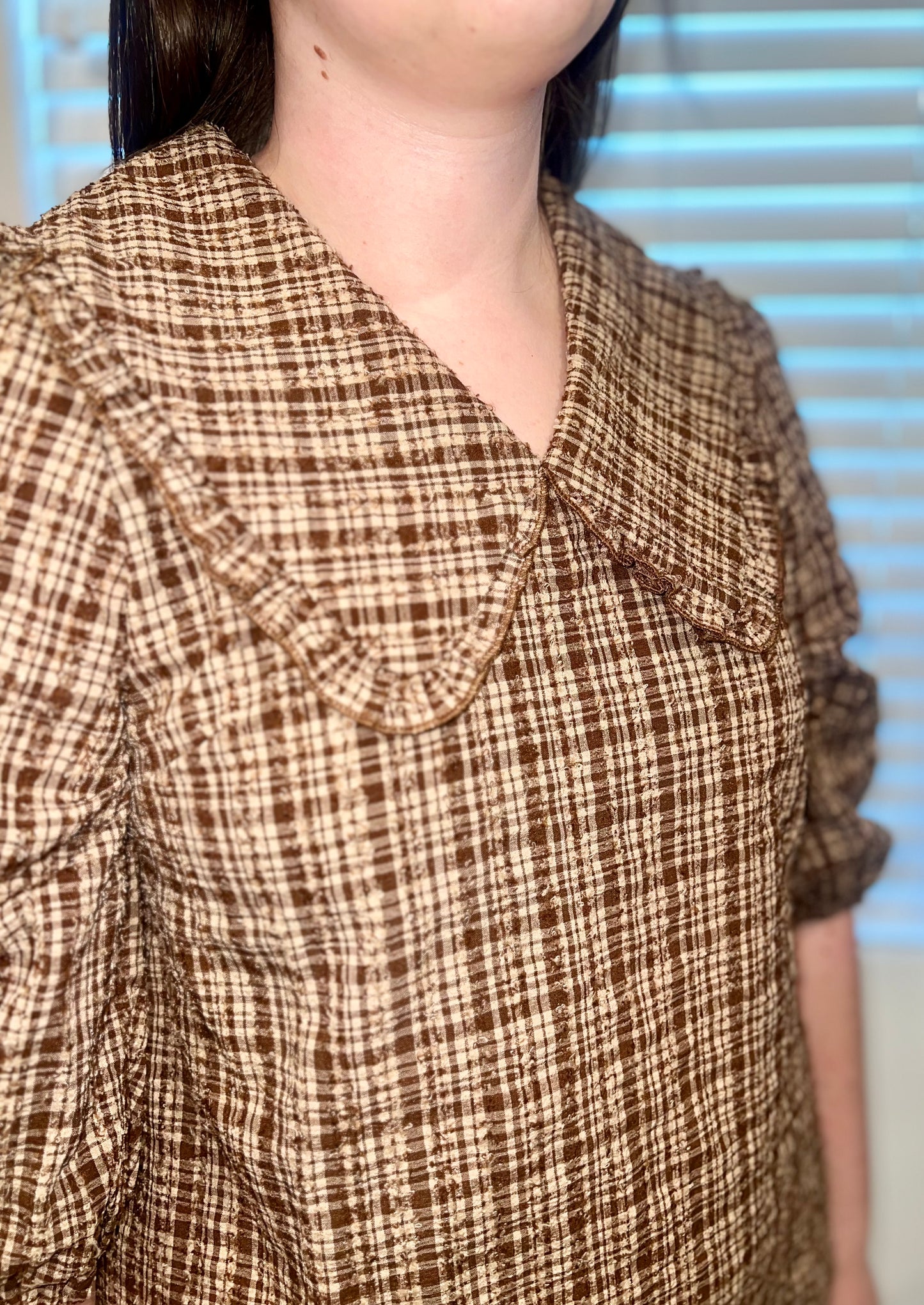 The Plaid Peter Pan Collar Dress