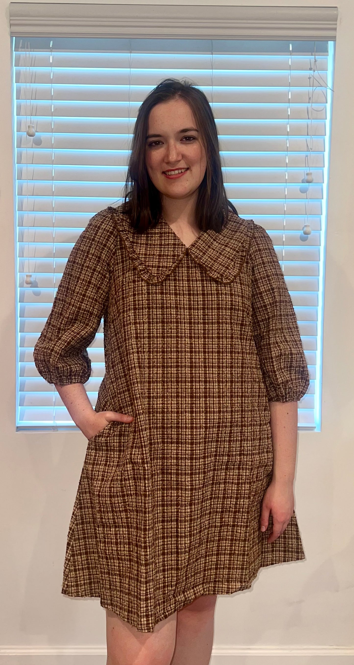The Plaid Peter Pan Collar Dress