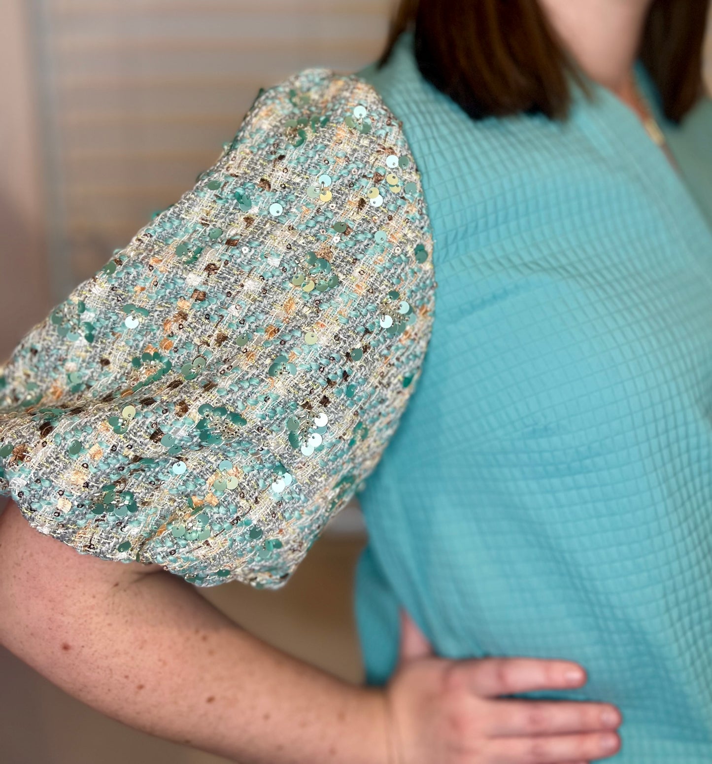 The Julia Sequin Sleeve Top